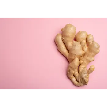 ginger (2)-4872130-9295.webp